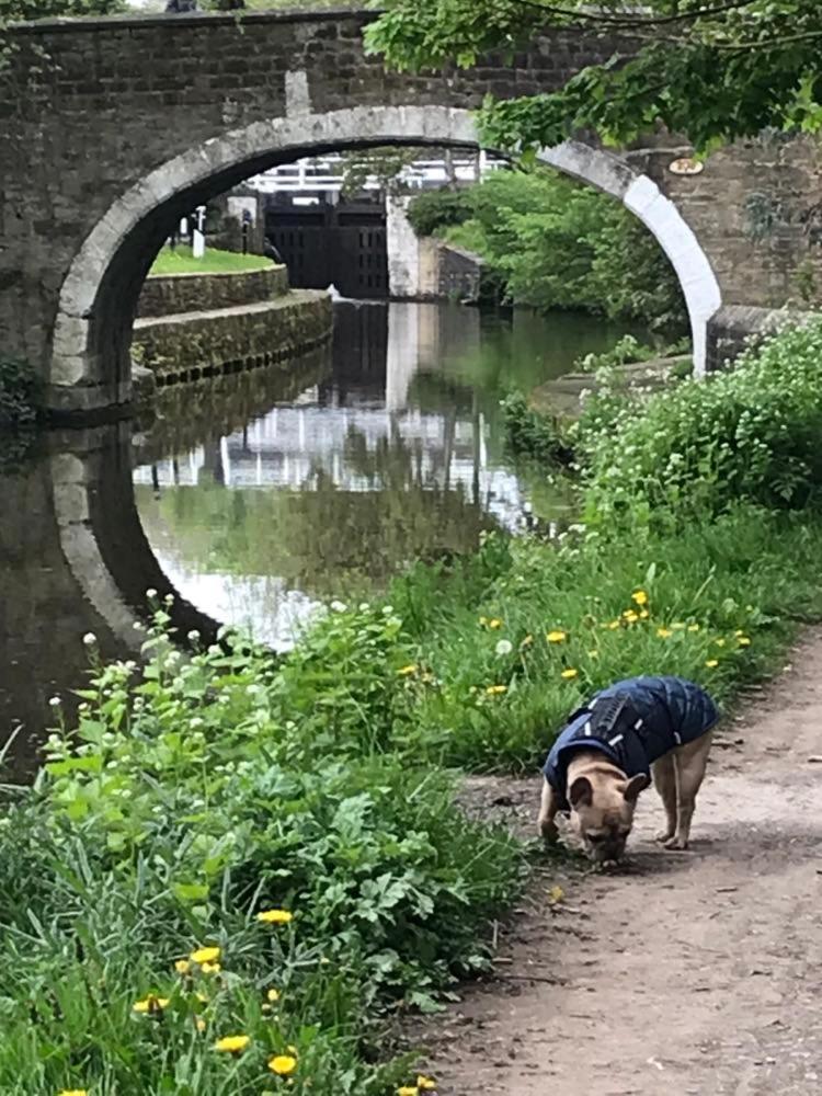 River Airebnb Bradford  Dış mekan fotoğraf