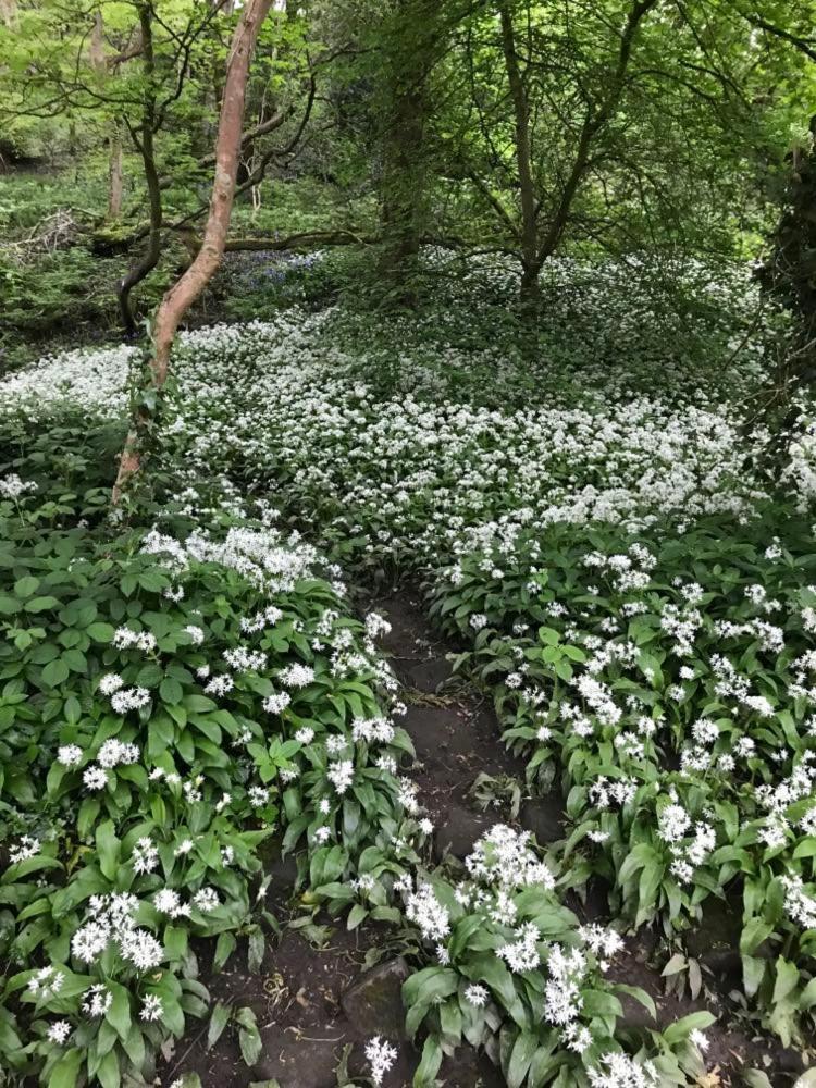 River Airebnb Bradford  Dış mekan fotoğraf